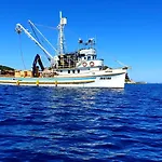 Pelicaric Dugi Otok Διαμέρισμα Sali