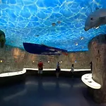 Διαμέρισμα Pelicaric Dugi Otok Sali