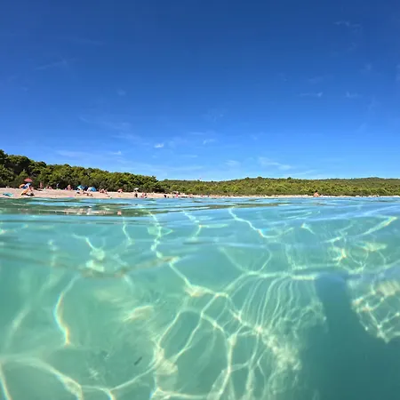 Pelicaric Dugi Otok Sali