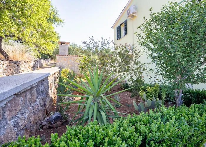 Апартаменты Pelicaric Dugi Otok