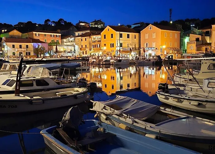 Pelicaric Dugi Otok 아파트