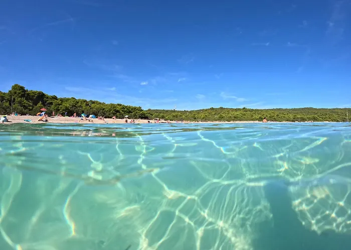 Pelicaric Dugi Otok 살리