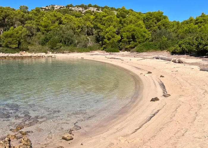 아파트 Pelicaric Dugi Otok