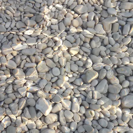 Pelicaric Dugi Otok