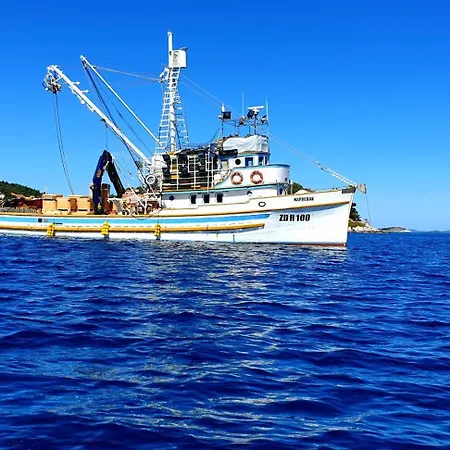 Pelicaric Dugi Otok Apartman Sali