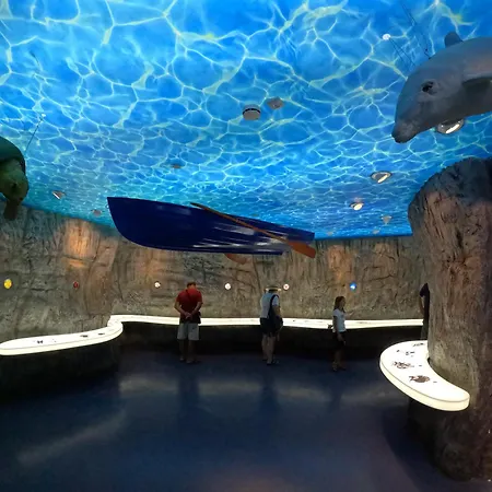 Apartamento Pelicaric Dugi Otok Sali