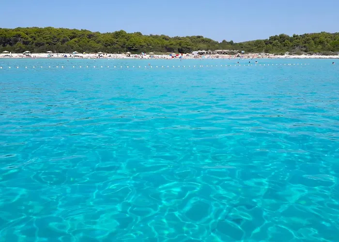 Διαμέρισμα Pelicaric Dugi Otok